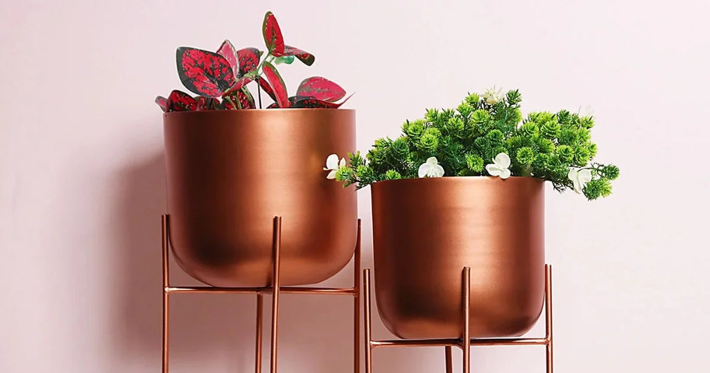 Stylish Plant Stand Ideas for Modern Homes